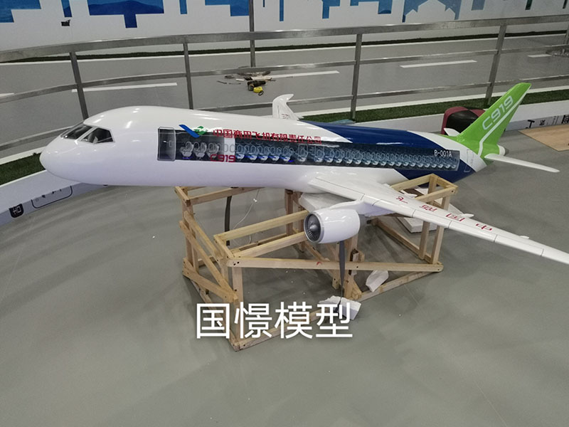 福泉市飞机模型